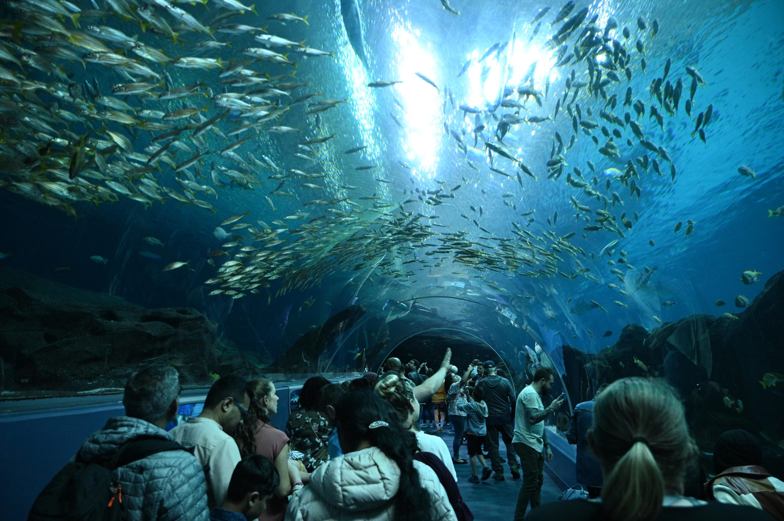 Atlanta with CityPASS: Great Memories on a Small Budget