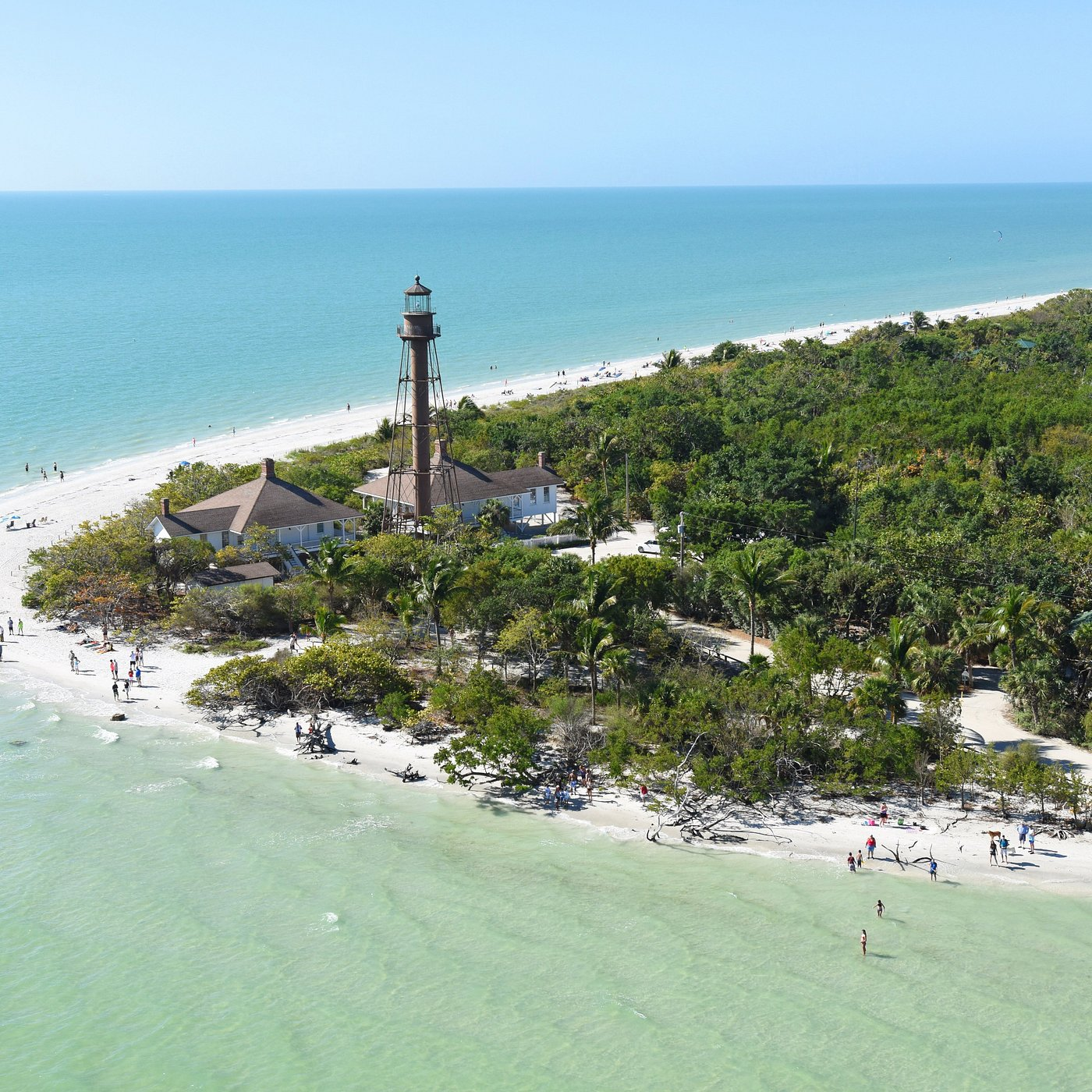 Unlock Florida’s Wild Side: 5 Epic Family Escapes