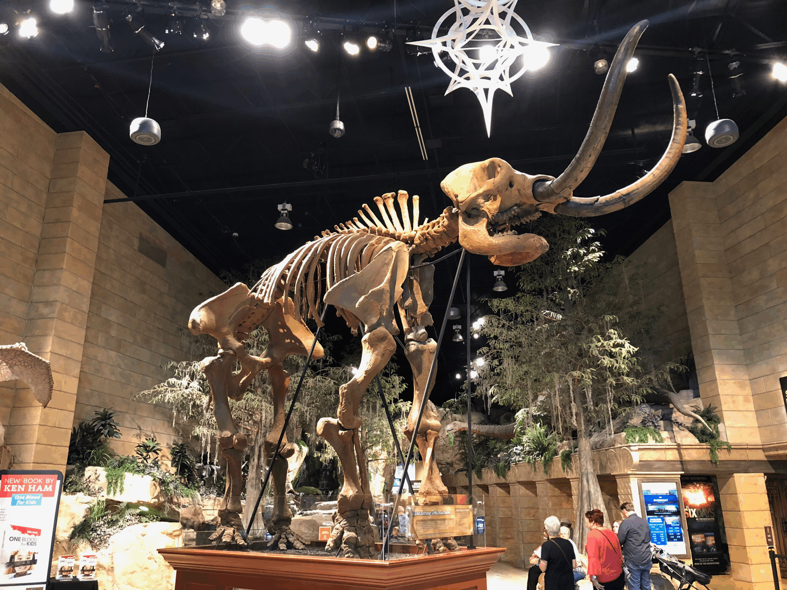 Epic Weekend Adventure To Creation Museum and Ark Encounter